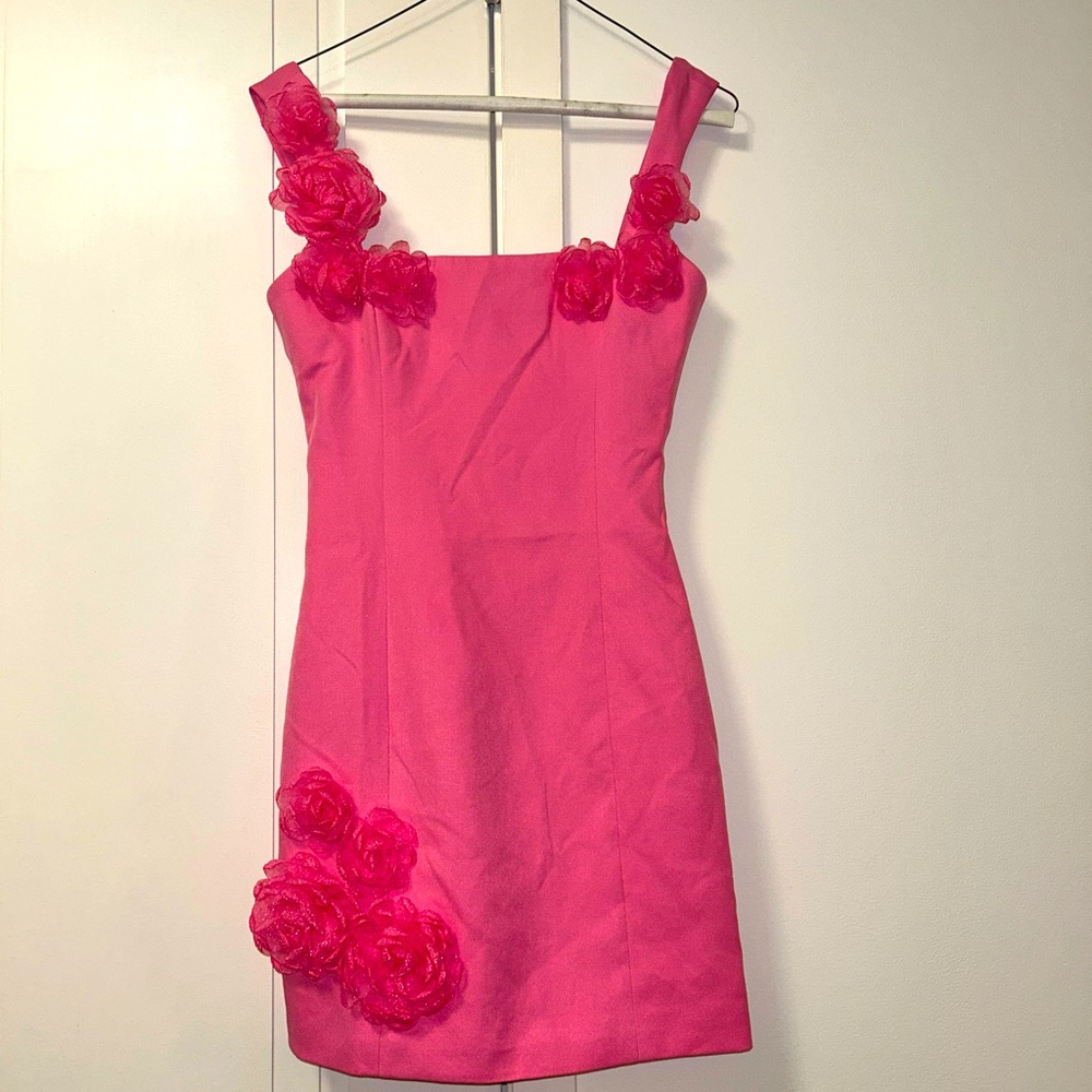Brand new with tags Pink Elliatt Trompe 3D dress